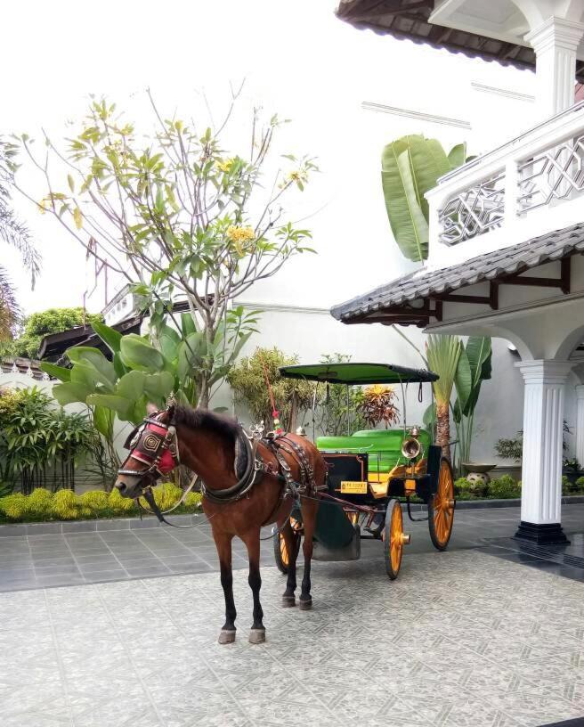 Raintree Boutique Villa & Gallery Yogyakarta Kültér fotó